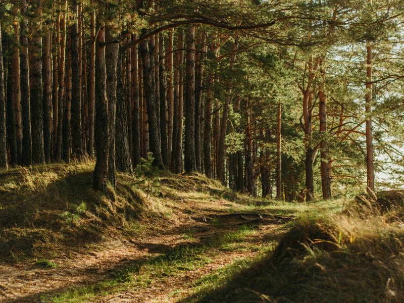 Buying Recreational Property